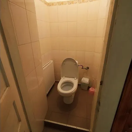 Rest Zelena Daire Lviv