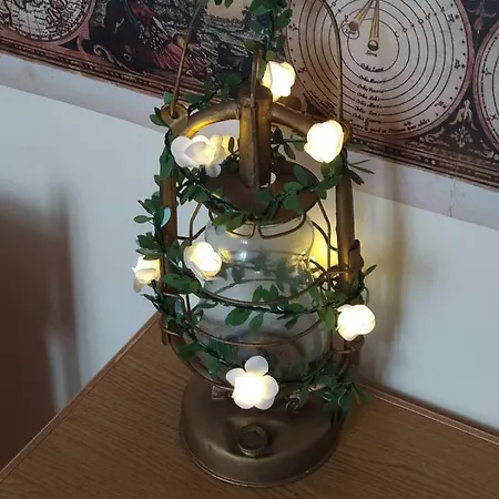 Rest Zelena Апартаменти Львів